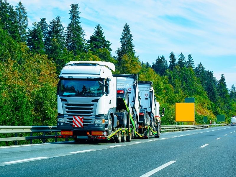 Il Garante ha detto sì al bonus patente